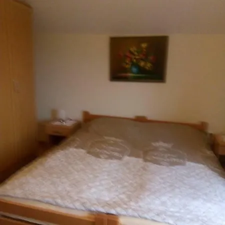 Boris Apartment Bled