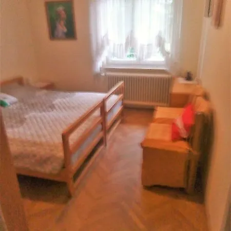 Apartma Boris *