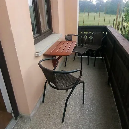 Apartma Boris